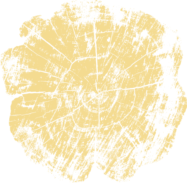 F4DB90 Stump from 03