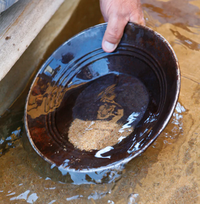 Gold Rush Panning