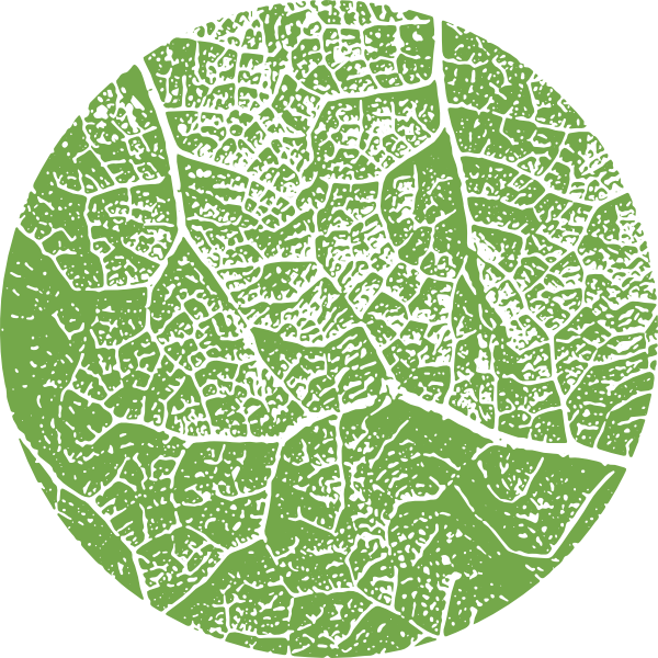 Green Leaf 74A84A